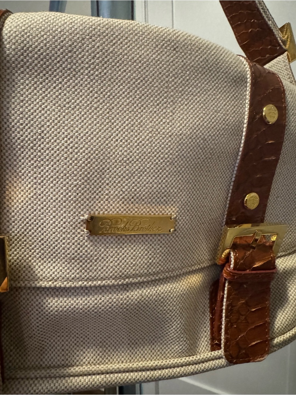 Canvas and Brown Snake Skim-Trim Shoulder Bag - Picture 2 of 4